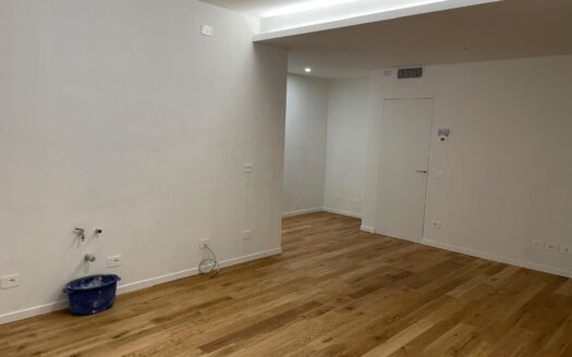 APPARTAMENTO IN VILLA BIFAMILIARE CON TERRAZZO E BOX DOPPIO