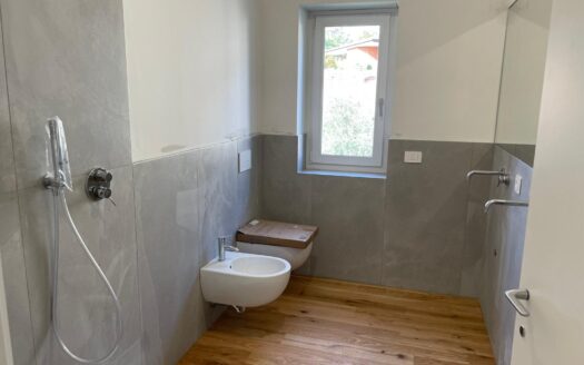 APPARTAMENTO IN VILLA BIFAMILIARE CON TERRAZZO E BOX DOPPIO